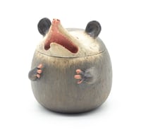 Image 3 of Possum Jar