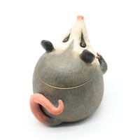 Image 7 of Possum Jar