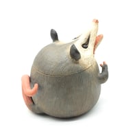 Image 6 of Possum Jar