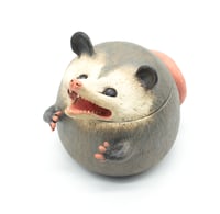 Image 2 of Possum Jar