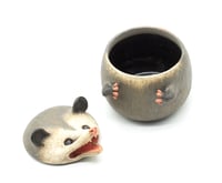 Image 9 of Possum Jar