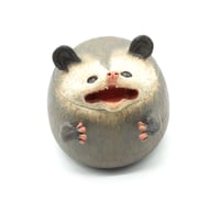Image 5 of Possum Jar