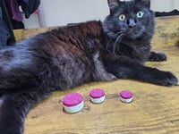 Image 3 of Its Your World - I'm Just Living in it - Custom Order of Glitter Colors