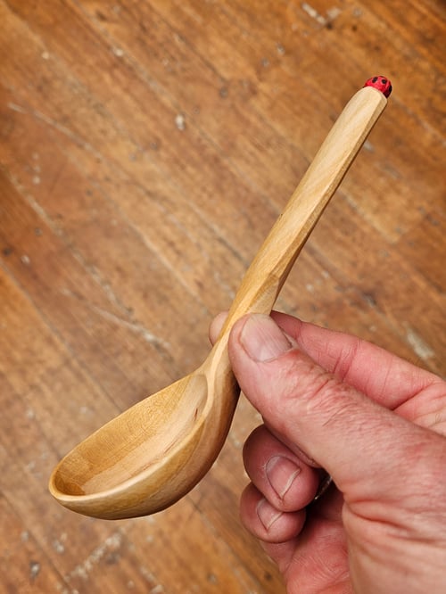 Image of Cherry Ladybeetle Scoop 
