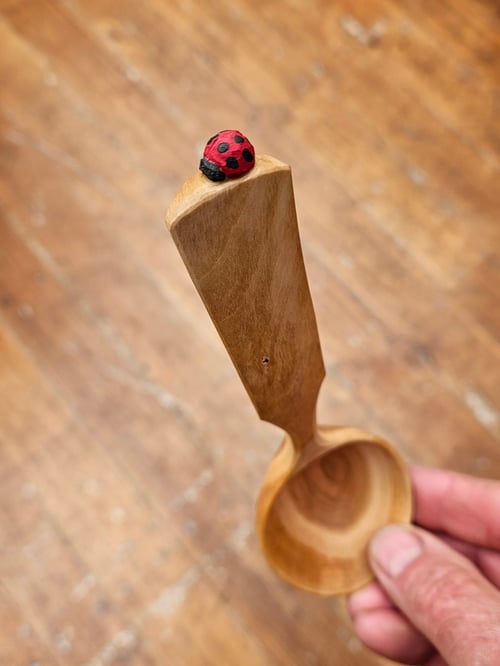 Image of Cherry Ladybeetle Scoop 
