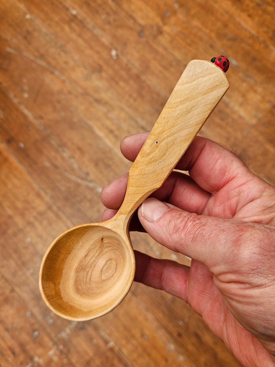 Image of Cherry Ladybeetle Scoop 