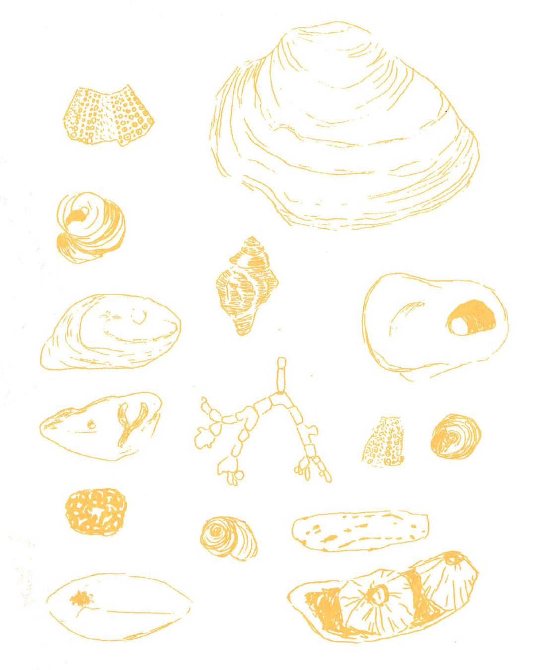 Waiting On The Tides Zine