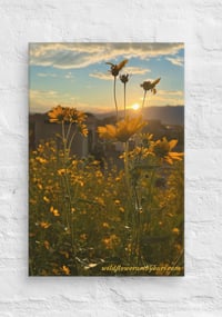 Image 2 of Wildflower Mountain Sunrise - 12” X 18” Canvas Print