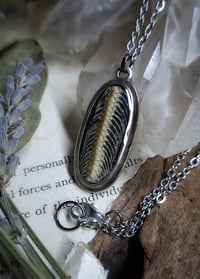 Image 5 of Snake Spine Pendant