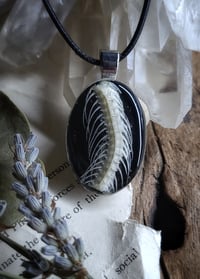 Image 1 of Double Sided Snake Spine and Floral Pendant