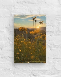 Image 2 of Wildflower Mountain Sunrise - 8” X 12” Canvas Print