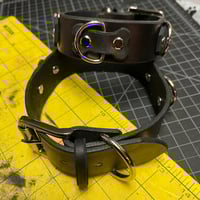 Image 1 of Heavy Dog Collar
