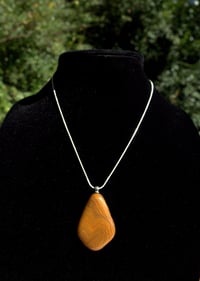 Image 2 of Earth Tone Pendant