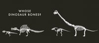Image 6 of Whose Dinosaur Bones?