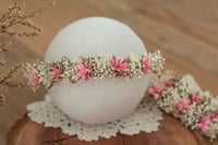 Newborn Only Halo 41