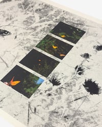 Image 2 of "FRESH SUMMER BREEZE" PRINT 02 BY RUBEN MONTESINOS