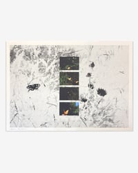 Image 1 of "FRESH SUMMER BREEZE" PRINT 02 BY RUBEN MONTESINOS