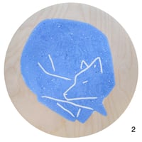 Image 5 of Renard constellation bleue