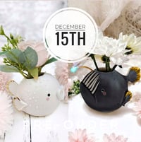 PRE-ORDER Caitlin #237 December 15th