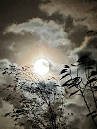 MoonMagicSun  Private Listing