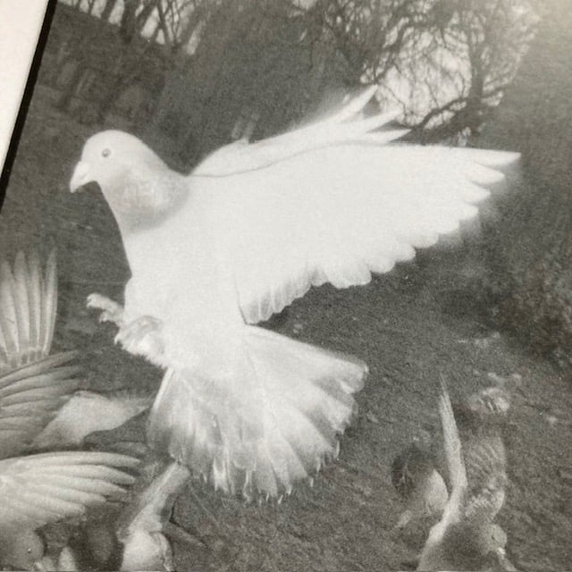 Image of Auto Focus 10: Greater Manchester Lost + Found zine - Sam Waller