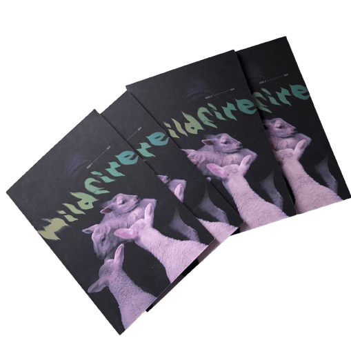 Image of Wildfire Zine Issue #4 2024