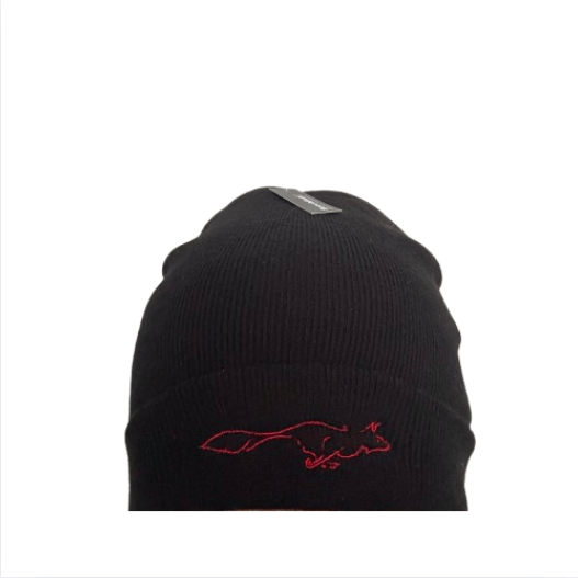 Image of HSA Beanie