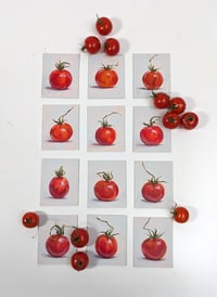 Image 2 of Cherry Tomato #6