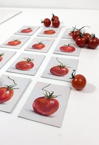 Image 4 of Cherry Tomato #9