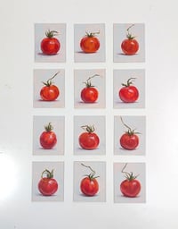 Image 3 of Cherry Tomato #12