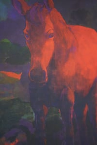 Image 2 of Blood moon