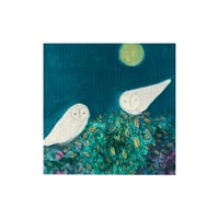 Image 2 of Owls