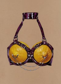 Image 2 of Wild things