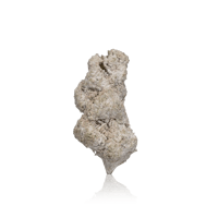 Image 2 of HashTag - Hash & Diamond Infused Flower 