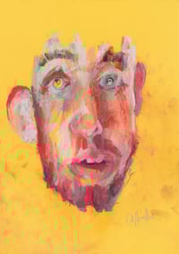 Image 2 of Altered - Soft Pastels and Coloured Pencil on Paper 