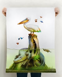 Buoy AP - Red Ear Slider