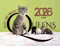 2026 Alley Cat Project Calendar: Queens Edition