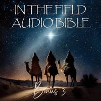 Image 4 of 3-Bonus Episode Bundle - The Star, The Journey & The Gift