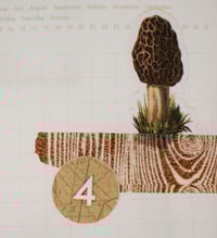 Image 10 of Date Dots Sticker Sheet  (31 numbers) (24-017)