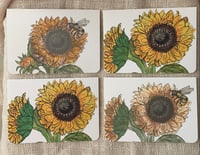 Image 1 of Sunflowers- 4 cards 