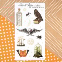 Image 2 of Apothecary Arcanum Sticker Sheet (24-002)