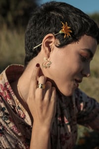 Image 3 of Créoles Colombes