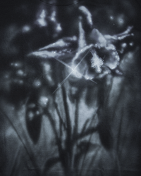 Image 2 of flower - L