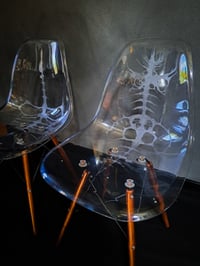 Image 1 of 𝐄𝐱𝐨𝐬