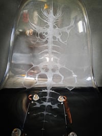 Image 3 of 𝐄𝐱𝐨𝐬