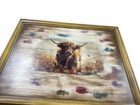 Image 1 of Lorna's Field