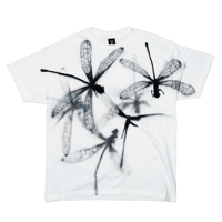 Image 1 of dragonfly - L/XL