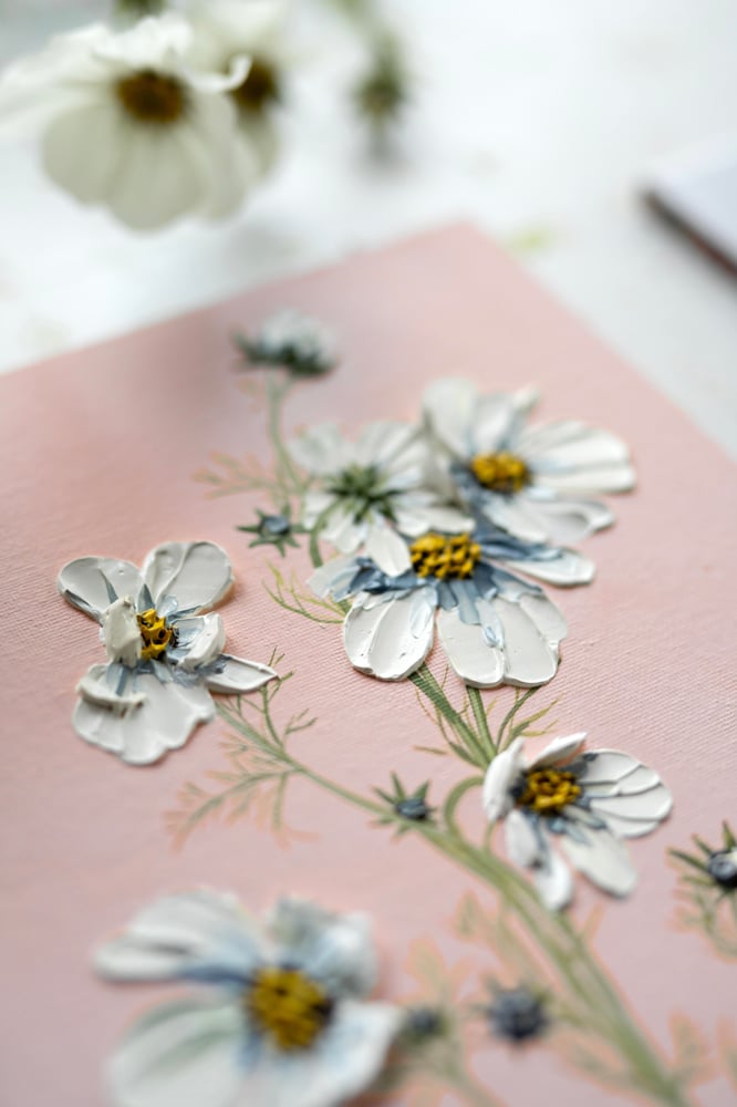 Image of Cosmos On Pink