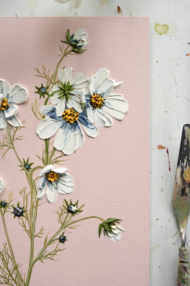 Image of Cosmos On Pink