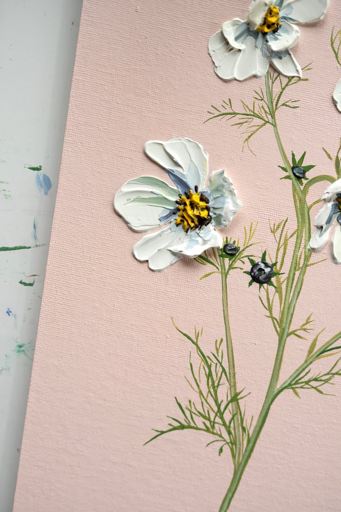 Image of Cosmos On Pink